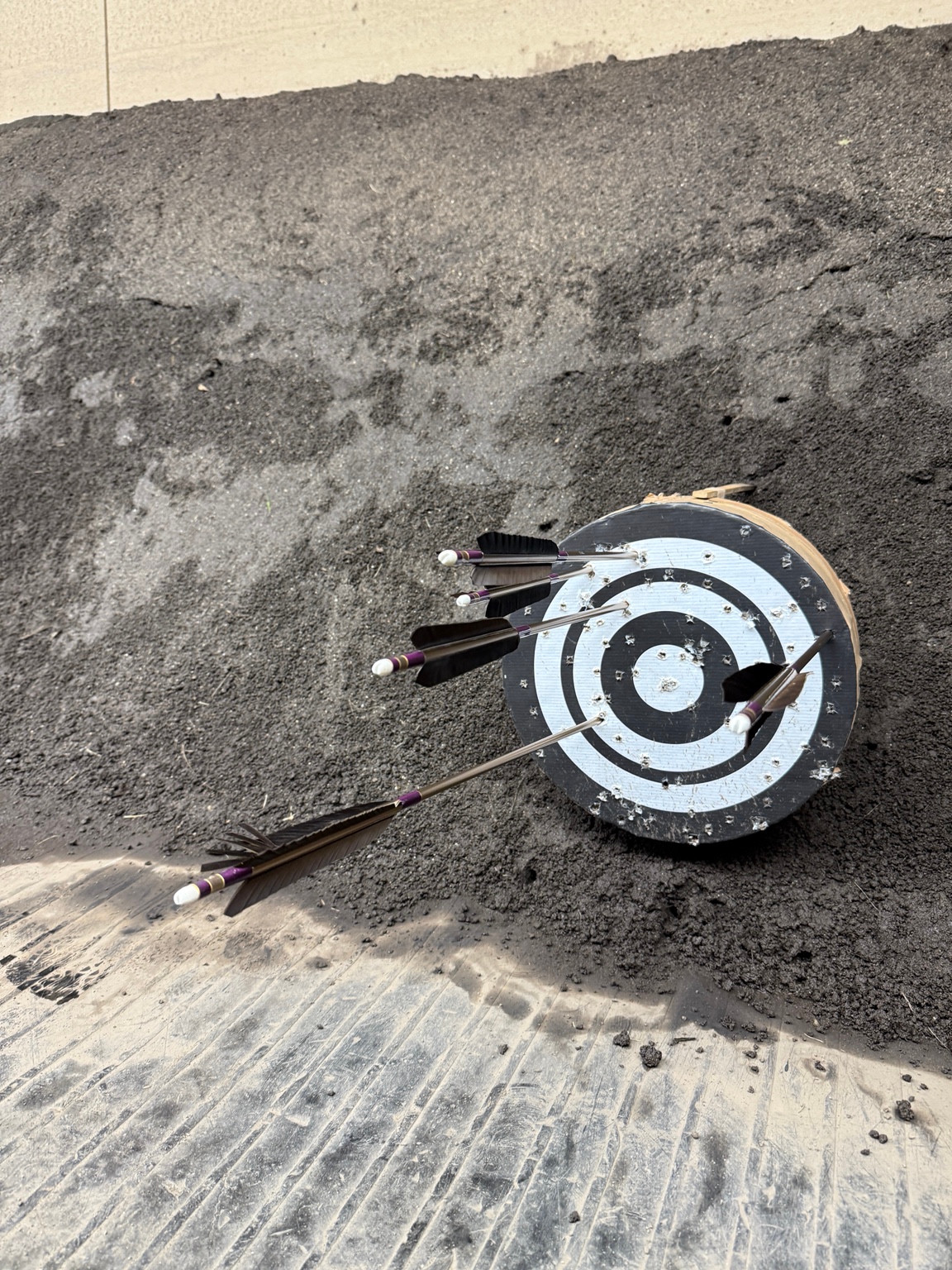 Several arrows embedded in a black-and-white circular kyudo target against an earth backstop.